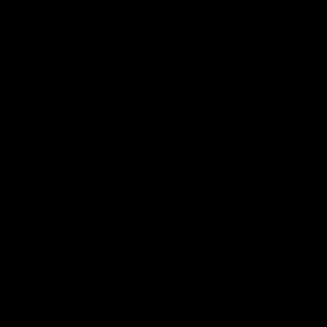 Meet your Posher, Ayden